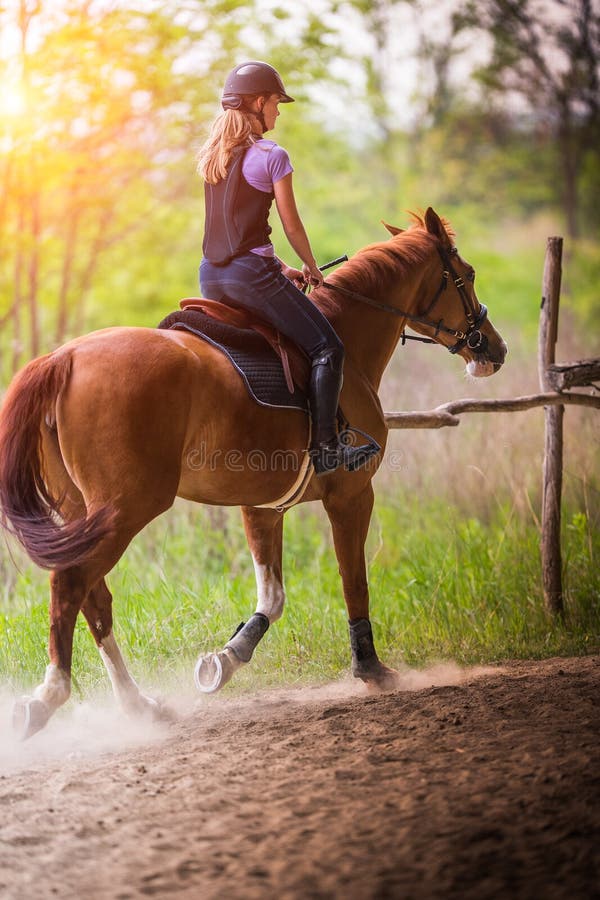 Young pretty girl riding a horse with backlit leaves behind in s