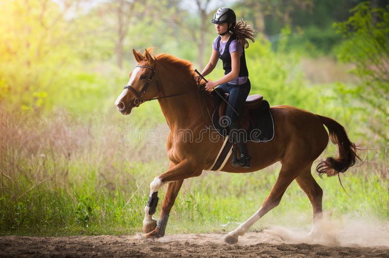 Young pretty girl riding a horse with backlit leaves behind in s