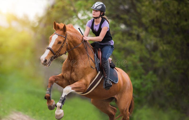 Young pretty girl riding a horse with backlit leaves behind in s