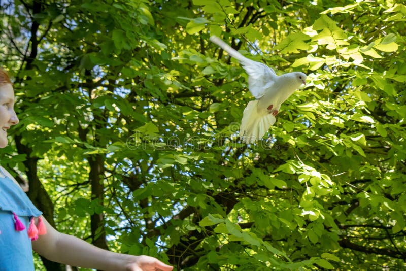 Young red haired girl with a dove in the shade of large green leafy trees