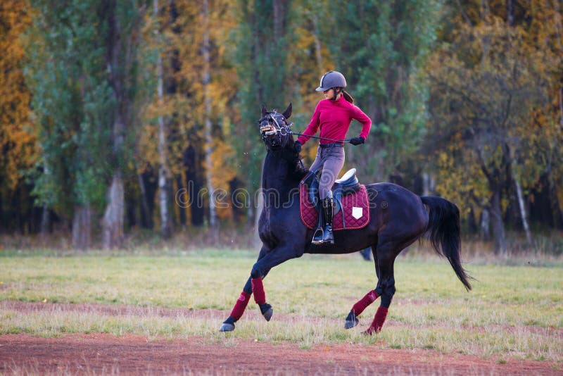 Young rider girl on bay horse in the autumn park