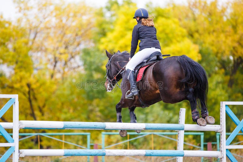 19 Ilustrações de Horse Jumping Over - Getty Images