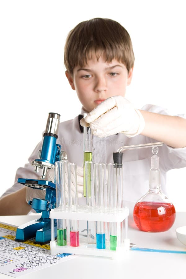what is a scientist what is a scientist