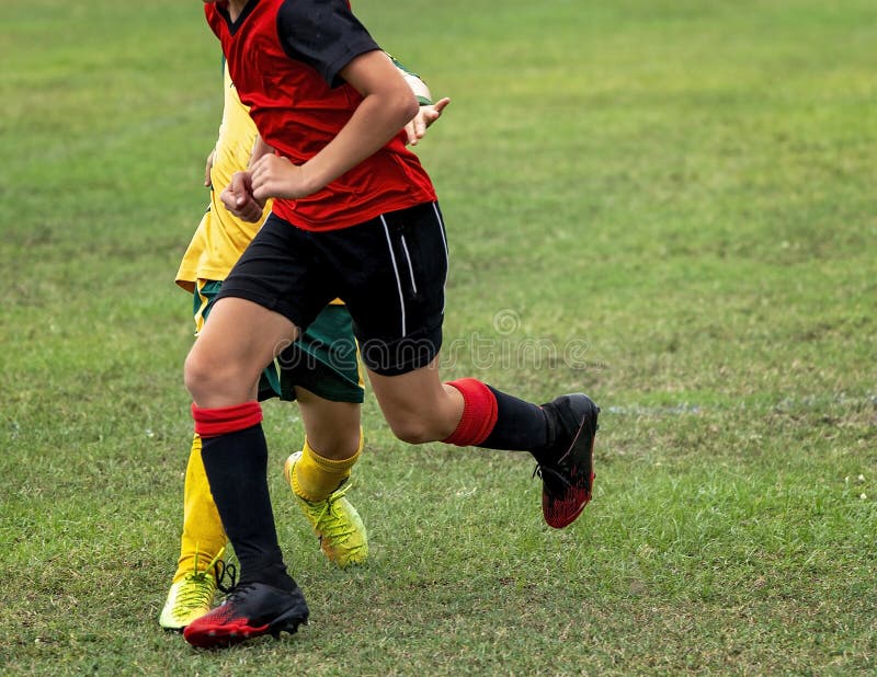 Young Soccer Players Learning the Game Stock Image Image of healthy