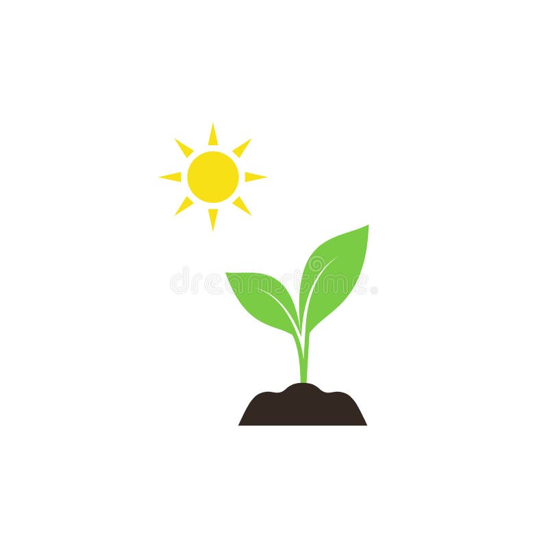 sunlight plant clipart without background