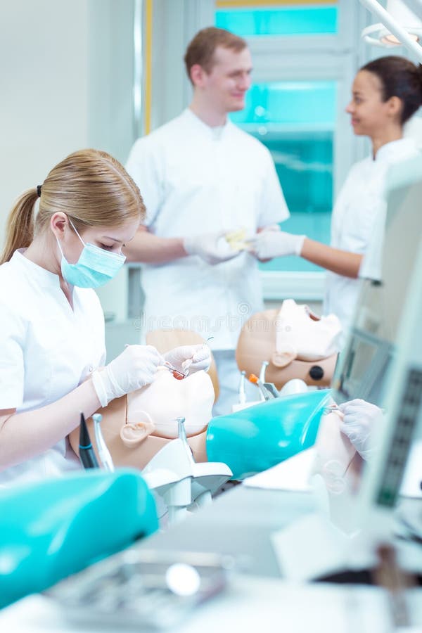 Young Students on Internship in Office Stock Photo Image of exam