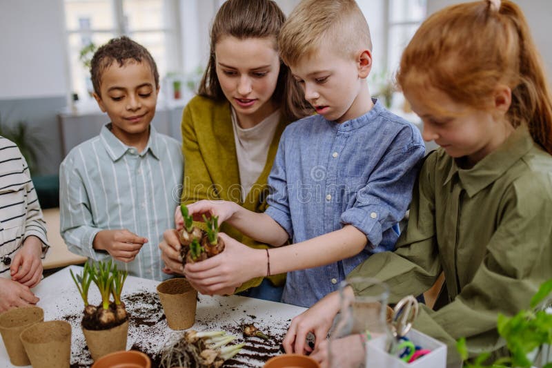 Young Teacher Learning Pupils How To Take Care about Plants. Stock