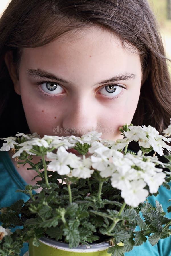 Beautiful Young Teen Girl Smelling Verbena Flowers stock image Beautiful Young Teen Girl Smelling Verbena Flowers stock image