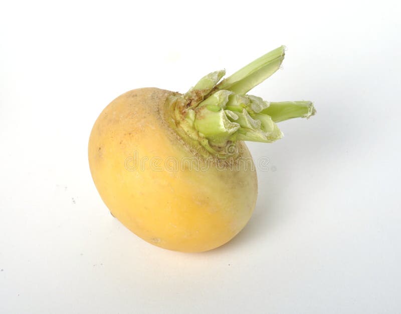 Young Turnips on a White Background Stock Photo Image of young