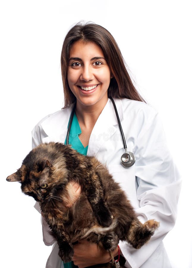 22,132 Veterinarian White Background Stock Photos Free & RoyaltyFree
