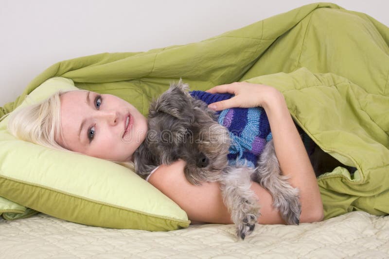 Young woman in bed playing with schnauzer dog stock photography Young woman in bed playing with schnauzer dog stock photography