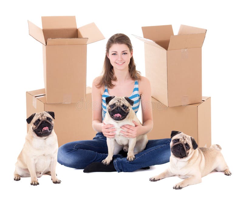 Young woman with brown cardboard boxes and cute pug dogs isolate