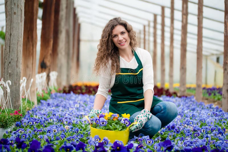 Young woman in a colorful flower garden in a greenhouse picking a flower pot royalty free stock images Young woman in a colorful flower garden in a greenhouse picking a flower pot royalty free stock images