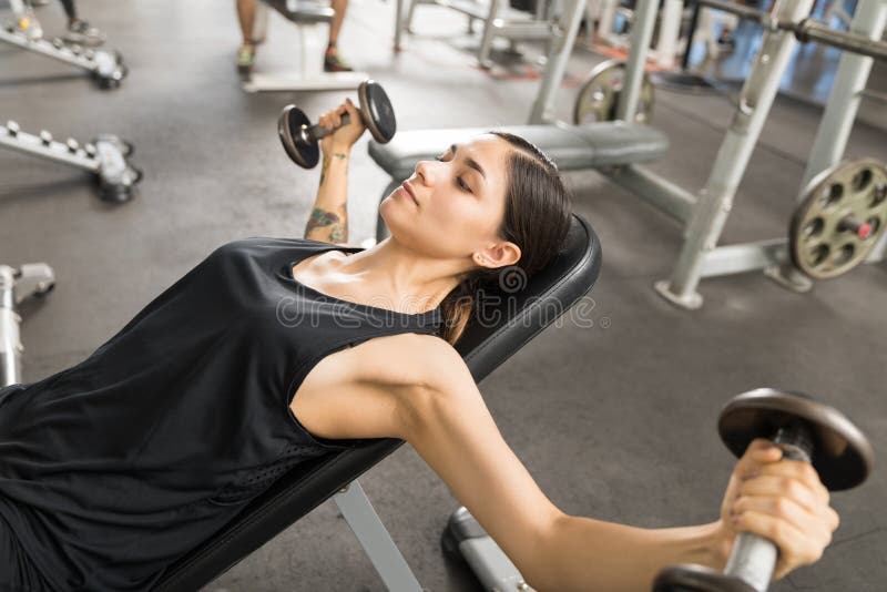 Woman Doing Dumbbell Fly on Bench in Health Club Stock Image - Image of  determination, chest: 123471953