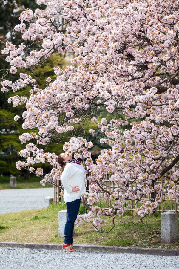 Young woman enjoying cherry blossom in Japanese garden in spring day stock images Young woman enjoying cherry blossom in Japanese garden in spring day stock images