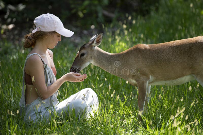 Young woman feed deers bambi. Cute wild animals concept.