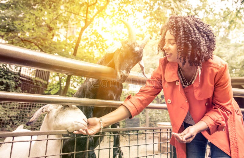 76,960 Feeding Animals Stock Photos - Free & Royalty-Free Stock Photos from Dreamstime 76,960 Feeding Animals Stock Photos - Free & Royalty-Free Stock Photos from Dreamstime