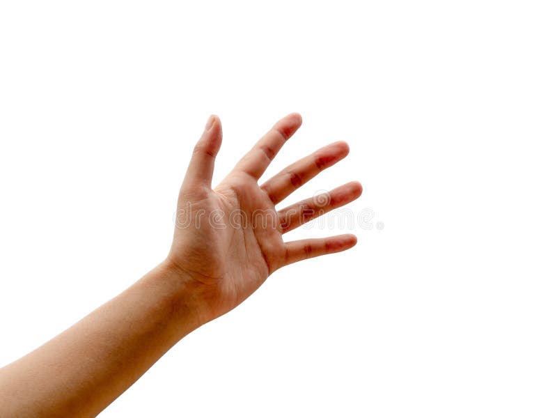Hand Empty Open Woman Hand Or Face Up Hand Isolated In White Background Stock Image Image Of Beauty Blank Hand Empty Open Woman Hand Or Face Up Hand Isolated In White Background Stock Image Image Of Beauty Blank