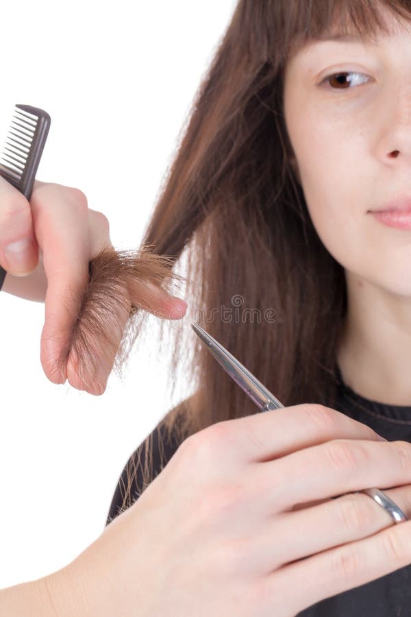 Young Woman Having a Hair Cut Stock Photo - Image of grooming, female