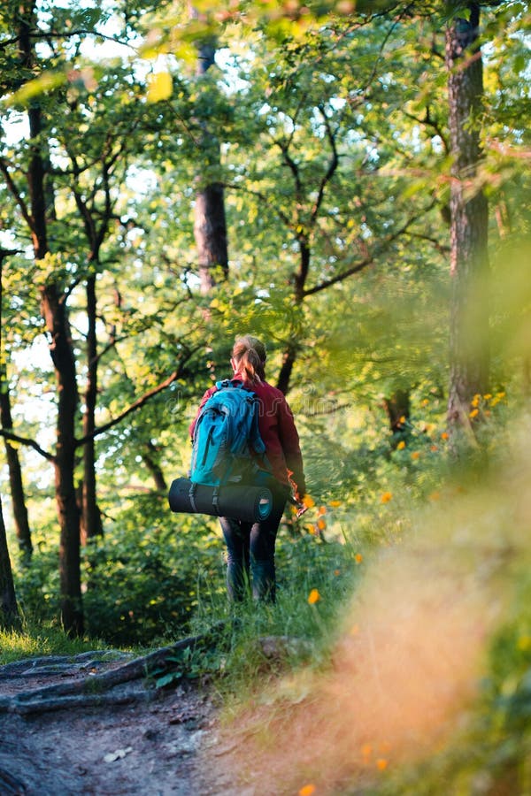 Young Woman Hiker with Backpack Walking in Forest during Summer