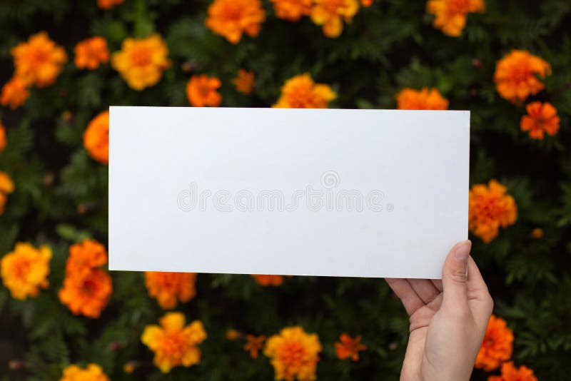 Young woman hold white paper poster in hand. Girl with white blank template sheet in hands flowers background