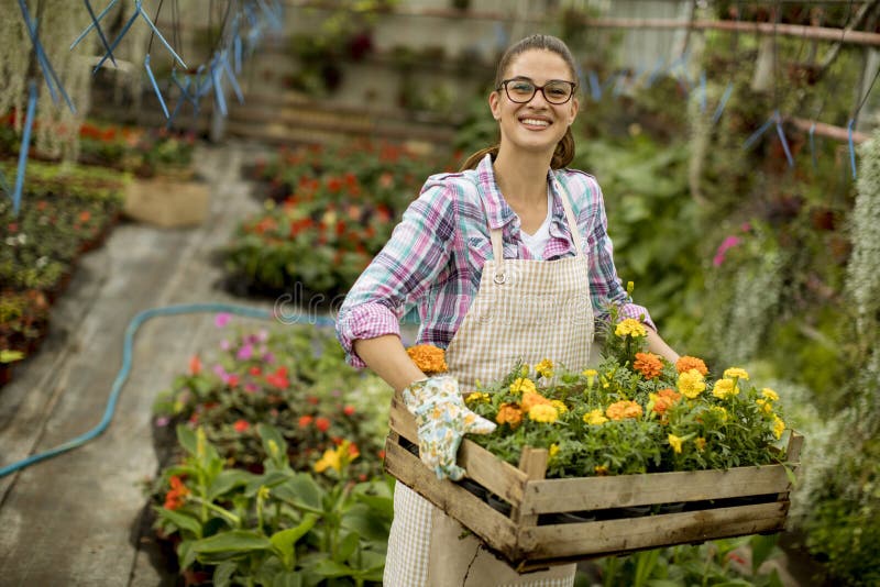 Young woman holding a wooden box full of spring flowers in the greenhouse