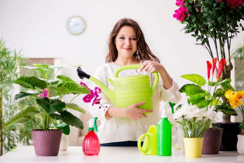 The young woman looking after plants at home. Hobbies, attractive.