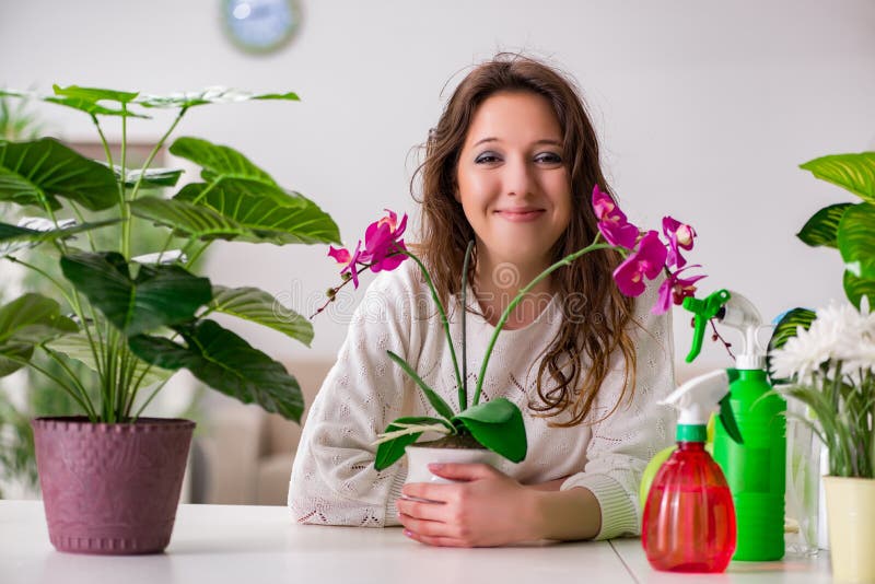 The young woman looking after plants at home