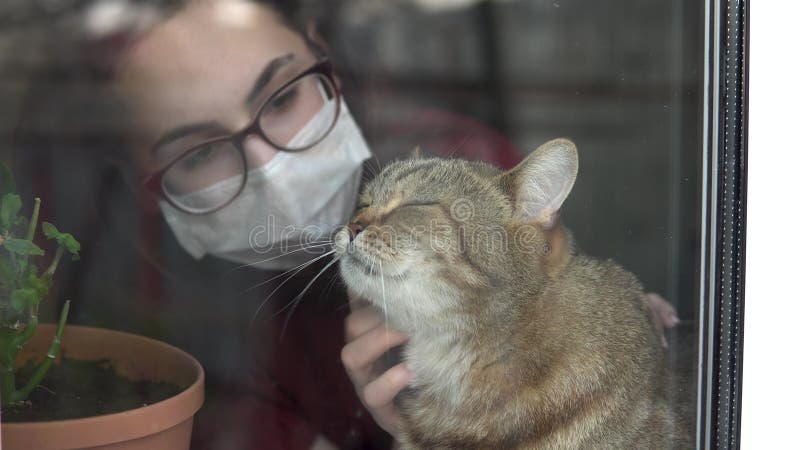 A Young Woman In A Mask Strokes A Cat. The Girl In Quarantine At Home