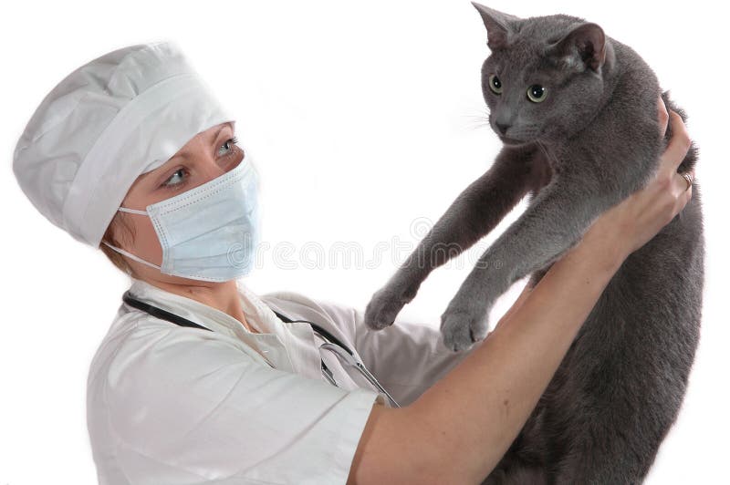 Young woman medical holding cat