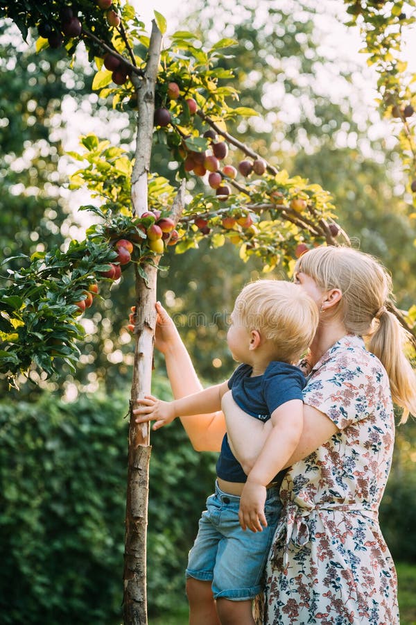 Young Woman Mother Hugging Her Baby Son And Showing Him Apple Tree In Sunny Garden. Outdoor Summer Portrait royalty free stock photography Young Woman Mother Hugging Her Baby Son And Showing Him Apple Tree In Sunny Garden. Outdoor Summer Portrait royalty free stock photography
