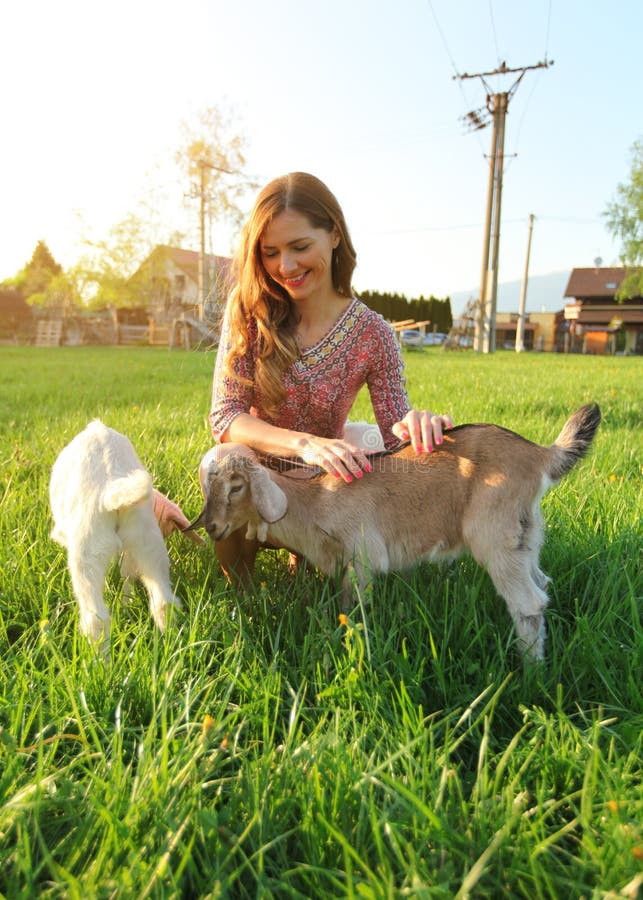 Young woman petting two baby goat kids on green meadow, blurred houses in background. Wide angle photo with strong sun backlight stock image Young woman petting two baby goat kids on green meadow, blurred houses in background. Wide angle photo with strong sun backlight stock image