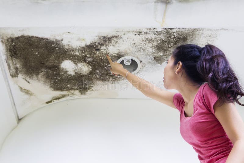 Young woman pointing at roof damage