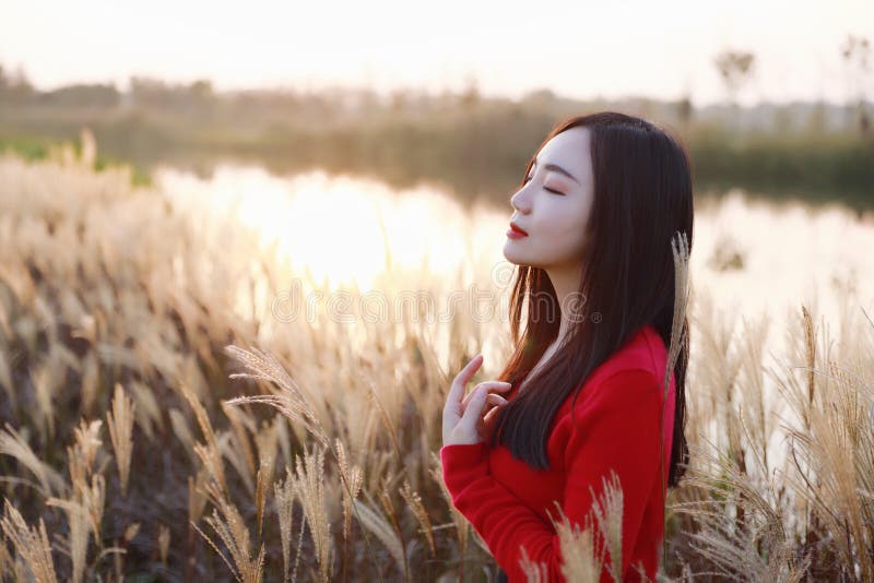 Enjoy in autumn sun , Young pretty woman stand on the grass and smiling at autumn sunset. Nature, natural. stock images Enjoy in autumn sun , Young pretty woman stand on the grass and smiling at autumn sunset. Nature, natural. stock images