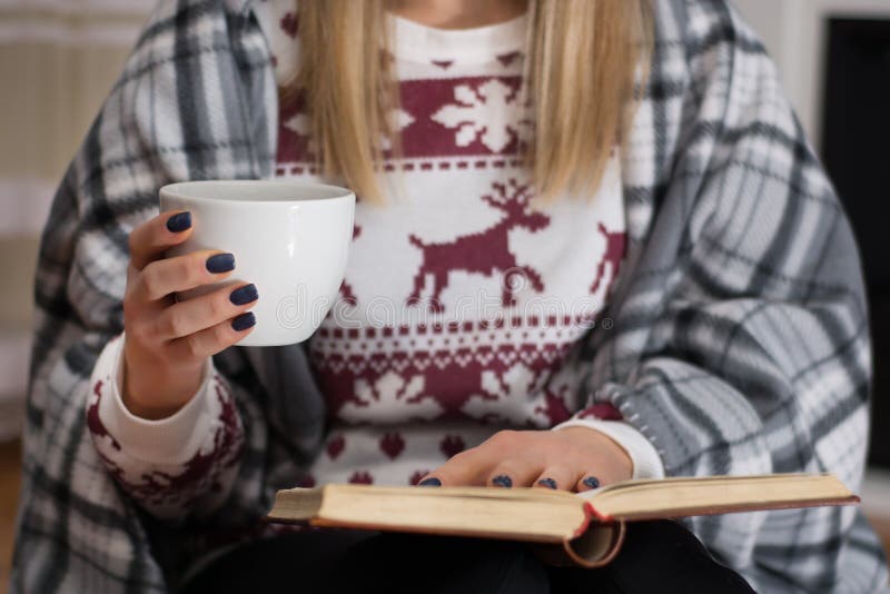 Winter Evening Bliss: Books and Warmth