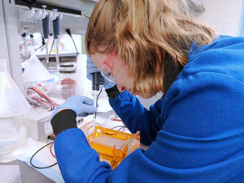 Young woman researcher loading amplified DNA samples to agarose gel stock photography Young woman researcher loading amplified DNA samples to agarose gel stock photography