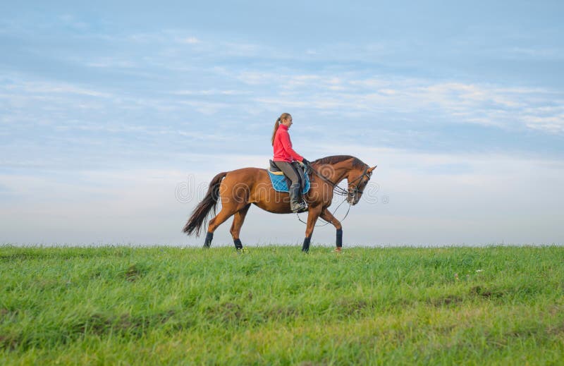 Young woman riding red mare horse in green field