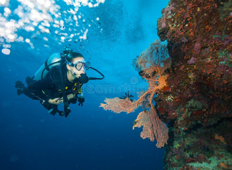 Young woman scuba diver exploring coral reef royalty free stock photos Young woman scuba diver exploring coral reef royalty free stock photos