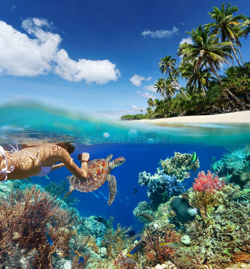 Young woman snorkeling over coral reef in tropical sea.
