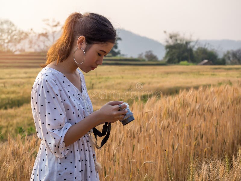 Young woman taking photograph a ladybug perched on grains of barley in a field of barley royalty free stock photos Young woman taking photograph a ladybug perched on grains of barley in a field of barley royalty free stock photos