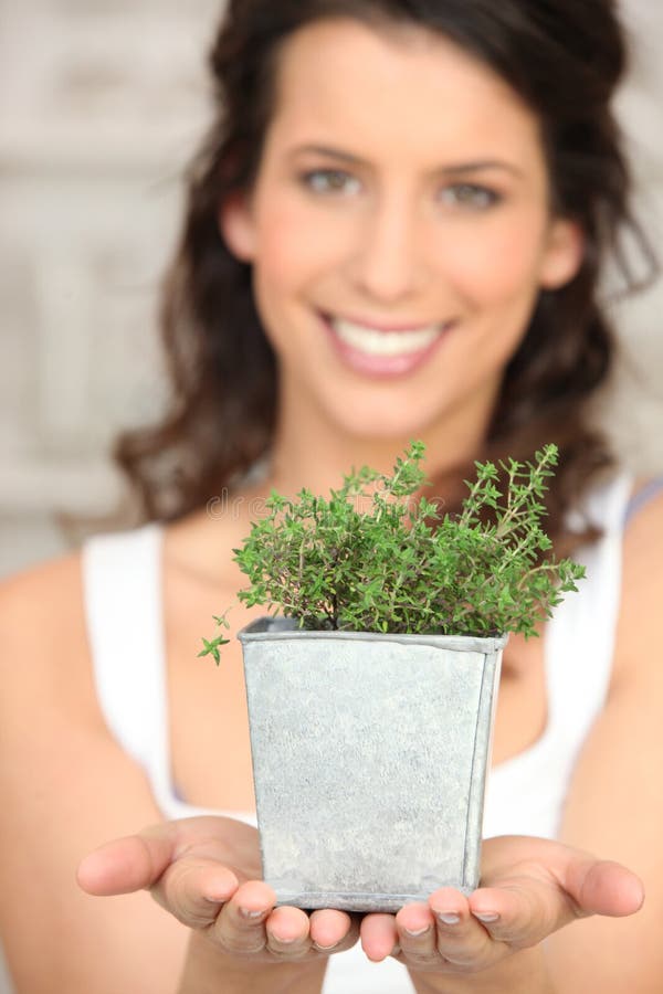 Young woman with thyme stock image. Image of natural 22919437