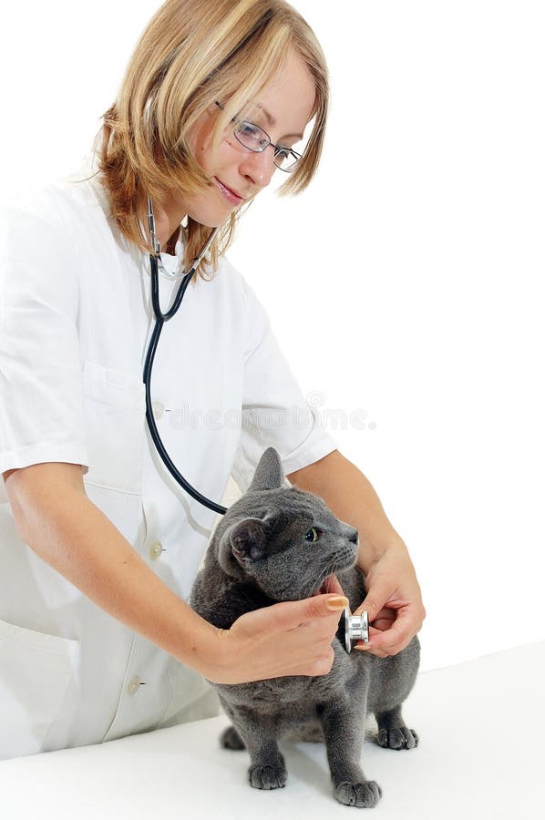 Young woman veterinary surgeon