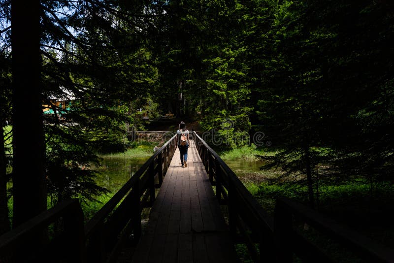 Young woman walking on a wooden suspension bridge in a forest near the Black Lake in Montenegro