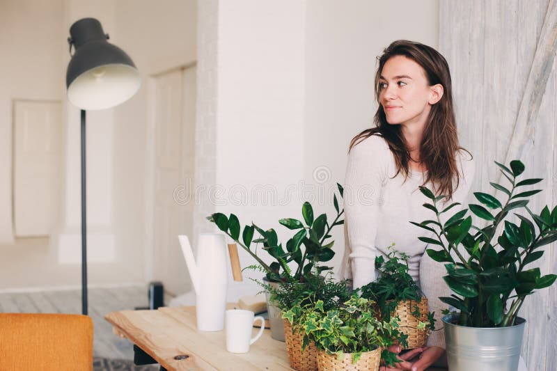Young woman watering flowerpots at home. Casual lifestyle series in modern scandinavian interior stock photography Young woman watering flowerpots at home. Casual lifestyle series in modern scandinavian interior stock photography