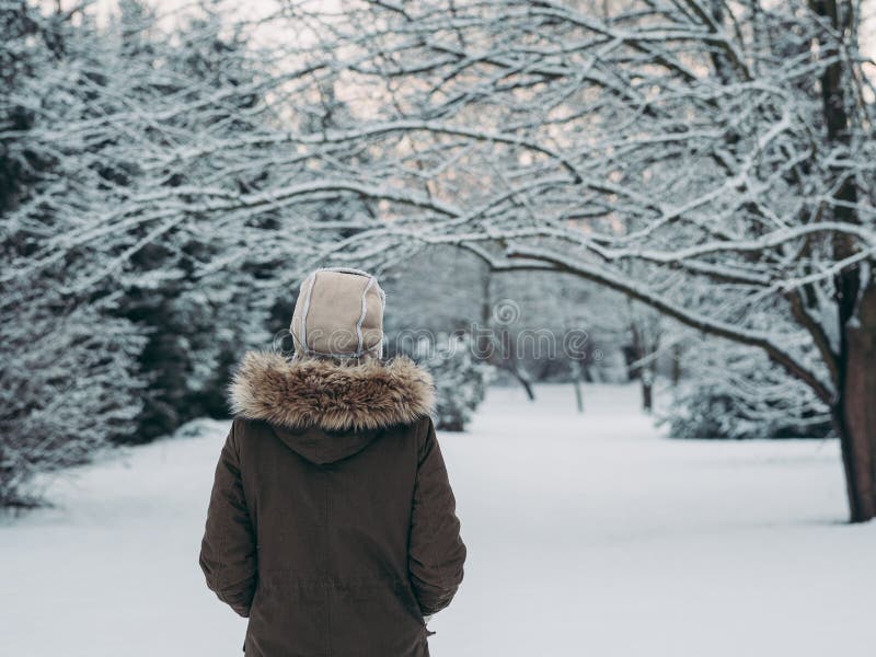 Young woman in winter forest royalty free stock image