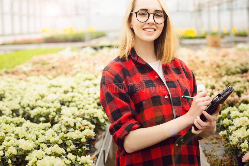 Young woman working in greenhouse. Attractive girl check and count flowers, using tablet computer stock photos Young woman working in greenhouse. Attractive girl check and count flowers, using tablet computer stock photos