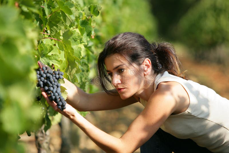 Young woman working in a vineyard