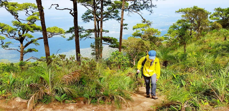 Younger woman or man hiking or travel to height mountain and forest at Doi Luang, Tak, Thailand