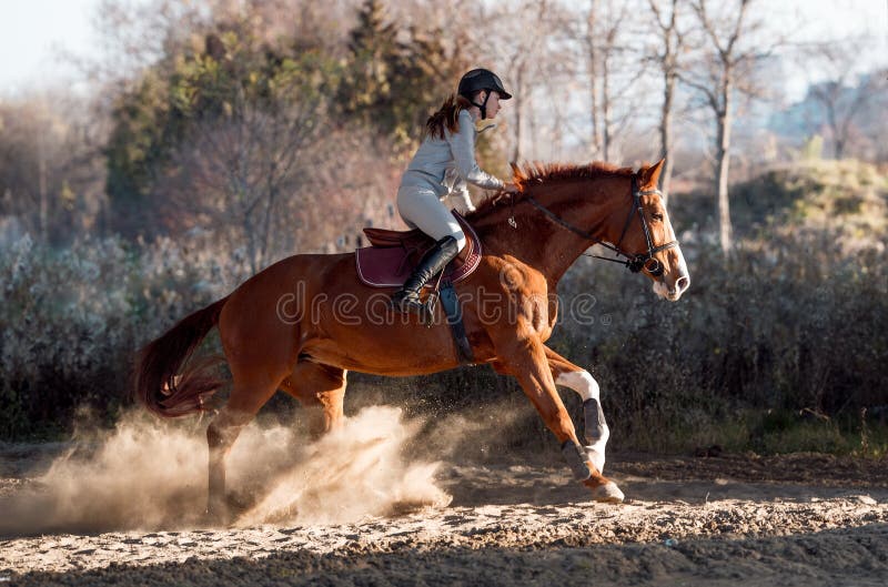 Young girl riding a horse