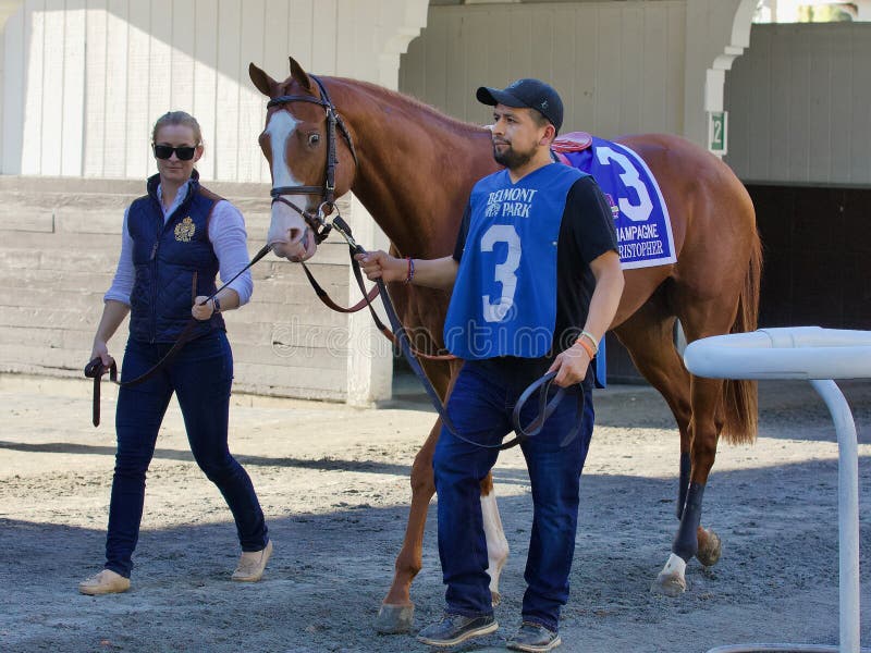 Your 2021 Champagne Stakes Winner Jack Christopher Editorial